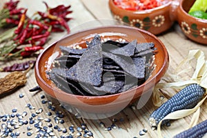 Blue corn tortilla chips