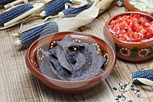 Blue corn tortilla chips