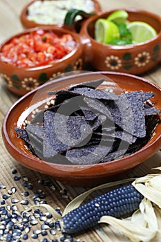 Blue corn tortilla chips