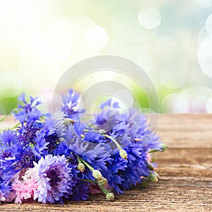 Blue cornflowers on white