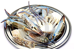 Blue crab