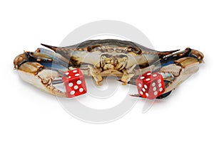 Blue crab with red dice