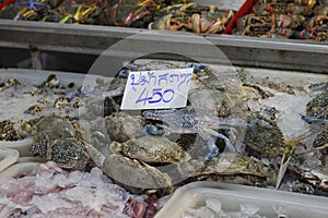 Blue crab stall