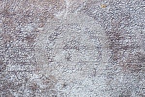 Grey crackle wall texture, color crackle background. photo