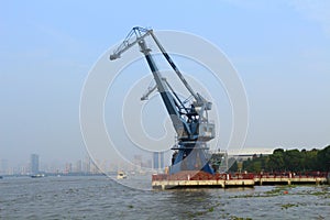 Blue crane at shanghai huangpu river port