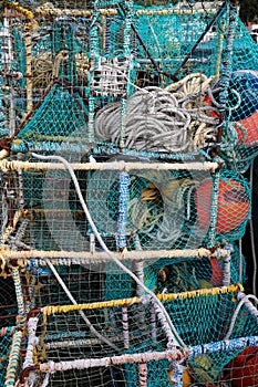 Blue crayfish and lobster cages