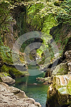 Blue creek in Martvili Canyon, Georgia