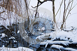 A blue creek spring wellspring in winter forest photo