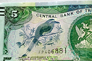 Blue-crowned Motmot Momotus momota pn Trinidad and Tobago banknote photo