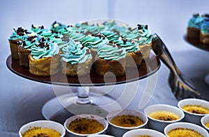 Blue Cupcake on the Plate