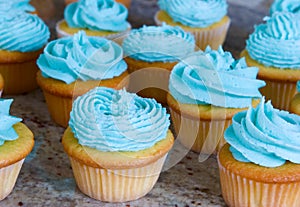 Blue cupcakes