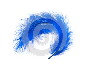 Blue curved feather