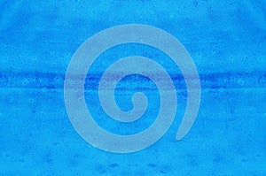 Blue cuttlefish skin texture