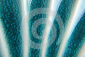 Blue cyan color glass macro background