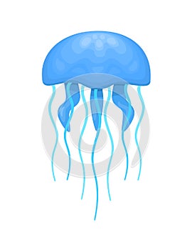 Blue and cyan jellyfish