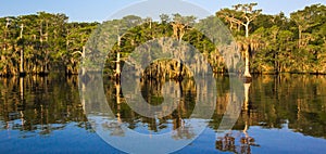 Blue Cypress Lake photo