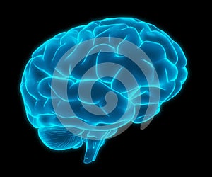 Blue 3d human brain model