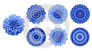 Blue Dahlia flower with 6 flower forms design elements kaleidoscope effect, abstract mandala floral pattern isolated on white