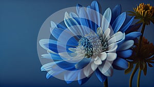A blue daisy beauty on a green leaf generated by AI