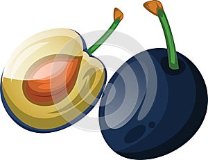 Blue damson plum cut in half cartoon fruit vector illustration