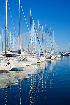 Blue Denia marina port in Alicante Spain photo