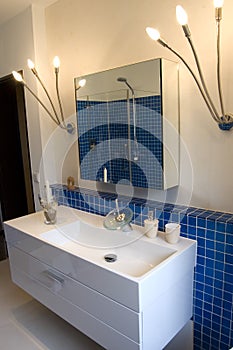 Blue Designer Bathroom