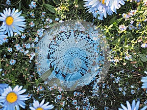 blue digital summer background in the garden for a newborn, top view