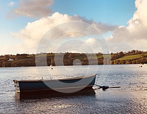 Blue dinghy moored in Penpol Creek