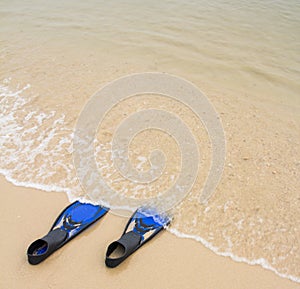 Blue diving fins