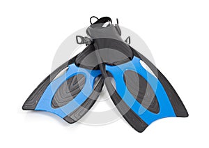 Blue diving fins on a white background