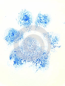 Blue Dog paw print showing pads