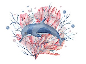 Blue dolphin among pink coral, underwater plants, water bubble. Coral reef. Hand painted watercolor oceanic illustration