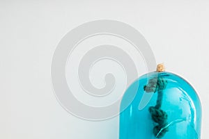 Blue dome glass with ropes and white background