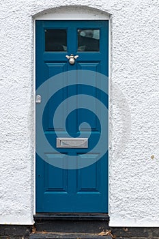 Blue door with bee