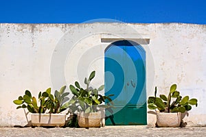 Blue door and cactus in Apulia, Italy