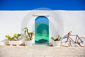 Blue door with cactus and the traditional white walls in the town of Ostuni (Puglia - Italy).