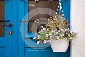 Blue door with hanging flowerpot with little pink flowers