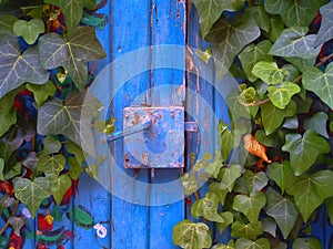 Blue door and open lock in Rosh Pina Israel