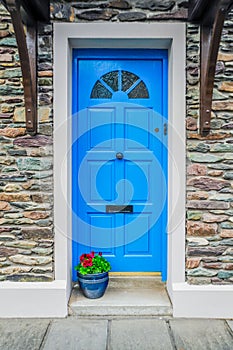 Blue Door and Potted Plant