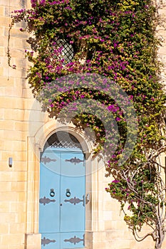 Blue door and purple flowers covering stone wall in Malta