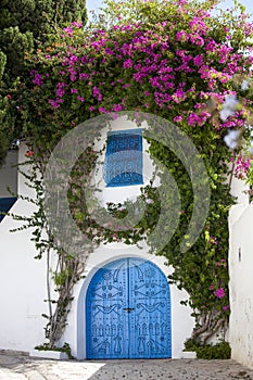 Blue doors and white wall of Sidi Bou Said, Tunisia photo