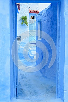 Blue doorway and cat, Chefchaouen, Morocco