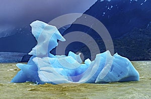 Blue Dragon Iceberg Grey Lake Torres del Paine National Park Chile