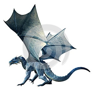 Blue Dragon on White