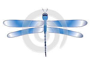 Blue dragonfly