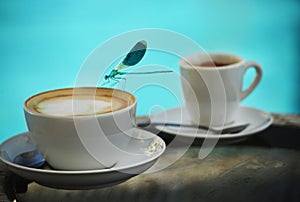 Blue dragonfly crouching on the edge of a cup of cappuccino in the background pool water. Mood summer vacation.