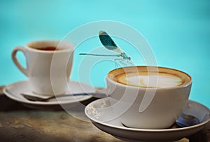 Blue dragonfly crouching on the edge of a cup of cappuccino in the background pool water. Mood summer vacation.