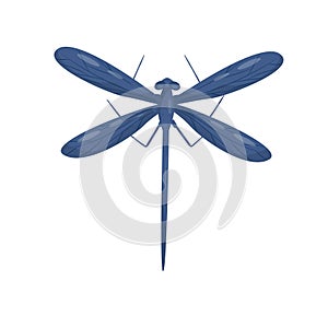 Blue dragonfly with long body and two pairs of big wings. Beautiful flying insect. Flat vector design