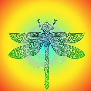 Blue dragonfly in mandala style. Stylized insect. Boho vector illustration. Ethnic pattern.