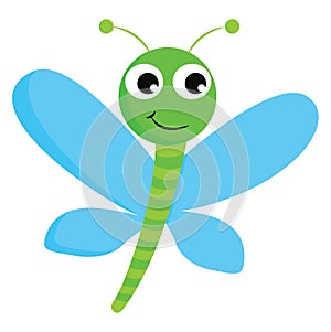 Blue Dragonfly, vector or color illustration